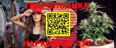 эйфоретик Пугачёв
