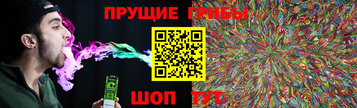Псилоцибиновые грибы Magic Shrooms  Вход с VPN  Севастополь 