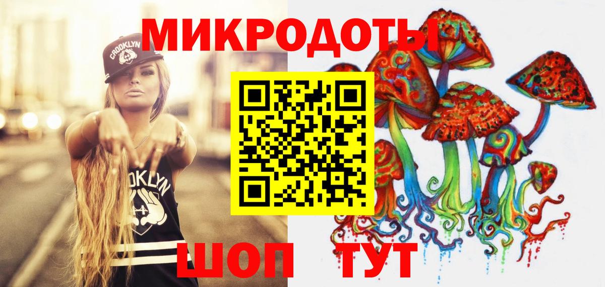 Псилоцибиновые грибы Psilocybine cubensis Севастополь
